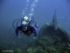 Dive Buddy anyone? by Greg Bleakley 